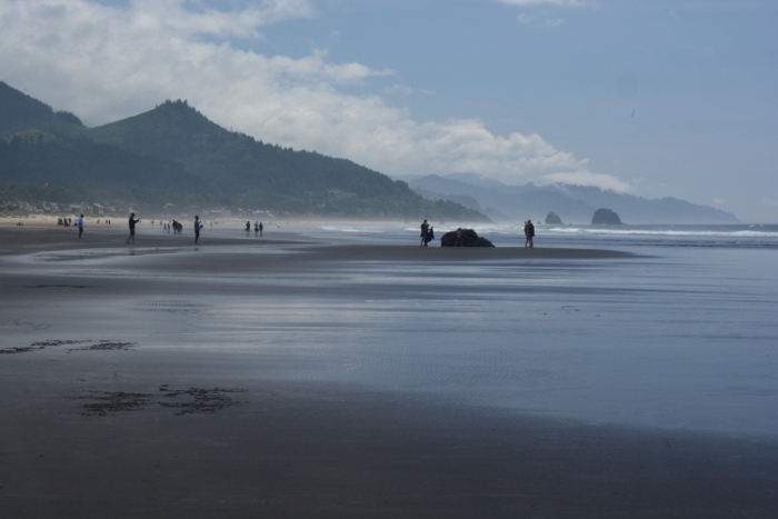 the sandy beach